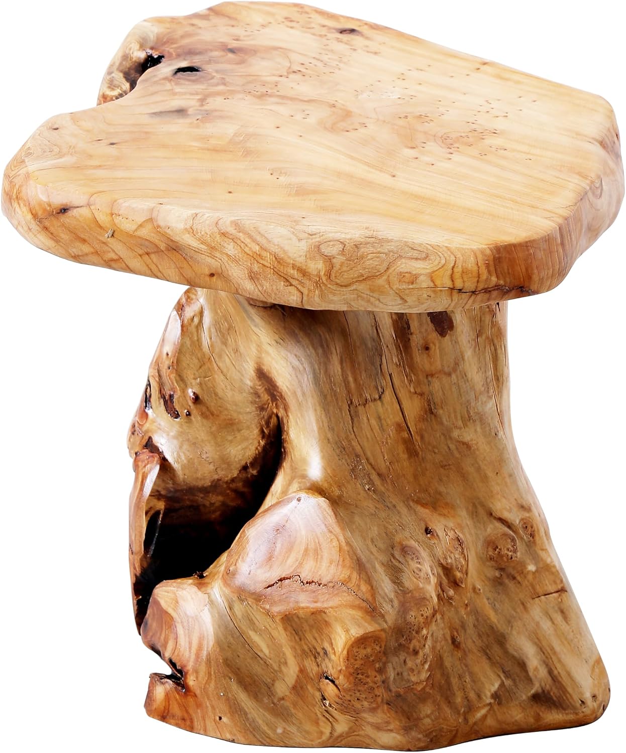 Live Edge Tree Stump Stool Side Table 14"