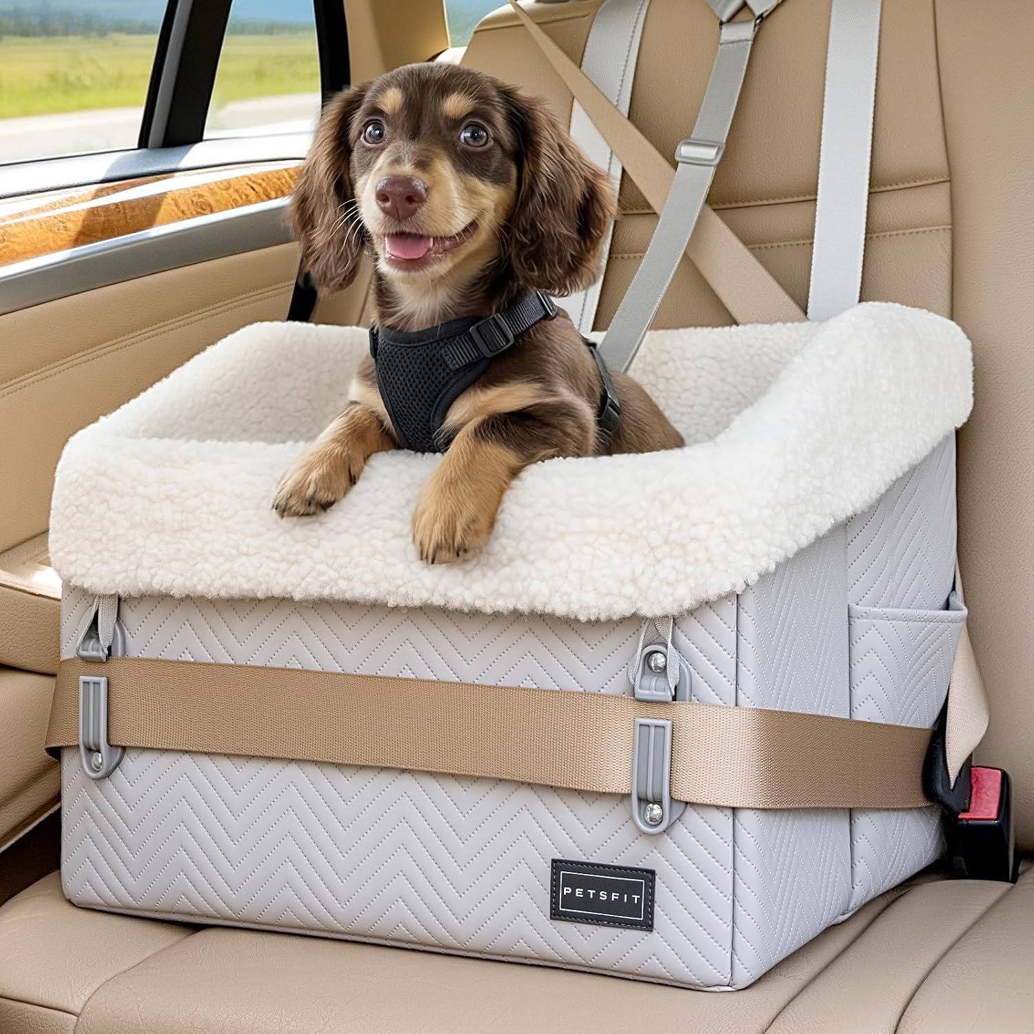 PETSFIT Waterproof Dog Car Seat, up to 30 lbs